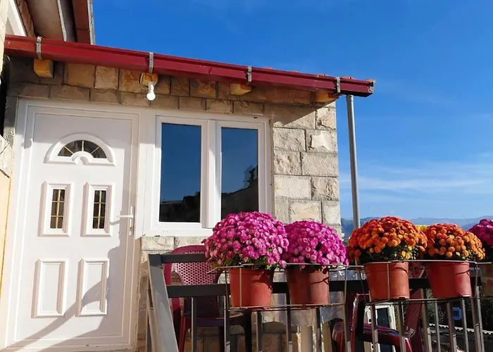 Appartement Milena 1